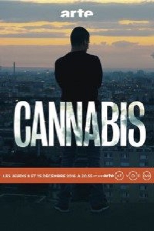 Cannabis (2016) Season 1 Hindi Complete MX Original WEB Series 480p | 720p HDRip