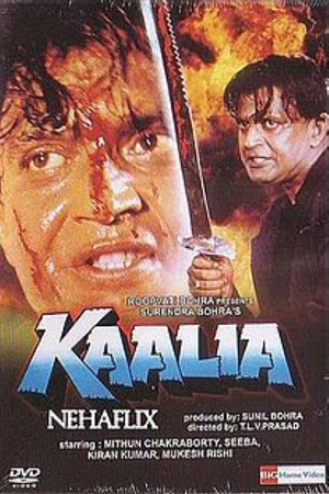 Kaalia (1997) Hindi Full Movie WEB-DL 480p [400MB] | 720p [1.3GB] | 1080p [3.6GB]