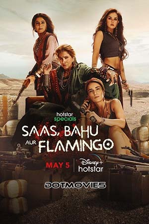 Saas Bahu Aur Flamingo (Season 1) Hindi Disney+ Hotstar Complete WEB Series 480p | 720p | 1080p WEB-DL