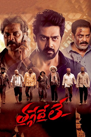 Thaggedhe Le (2022) Dual Audio [Hindi ORG. + Telugu] WEB-DL 480p [450MB] | 720p [1.2GB] | 1080p [2.5GB]