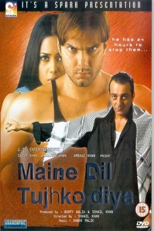 Maine Dil Tujhko Diya (2002) Hindi Full Movie 480p [450MB] | 720p [1.5GB] | 1080p [4GB]