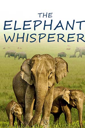 The Elephant Whisperers (2022) WEB-DL Dual Audio {Hindi + English} 480p [300MB] | 720p [470MB] | 1080p [1.4GB] | 2160p 4K [4.1GB]