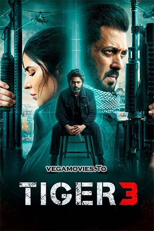 Tiger 3 (2023) Hindi AMZN WEB-DL 480p [500MB] | 720p [1.3GB] | 1080p [2.5GB] | 2160p 4K UHD [17GB]