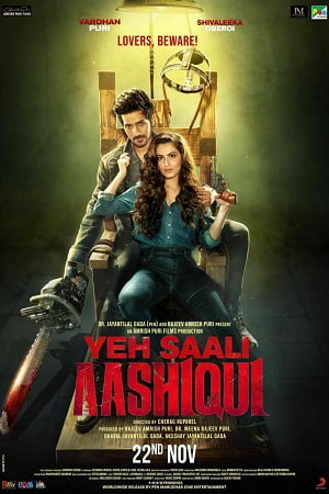 Yeh Saali Aashiqui (2019) Hindi Full Movie 480p [400MB] | 720p [1GB] | 1080p [2GB]